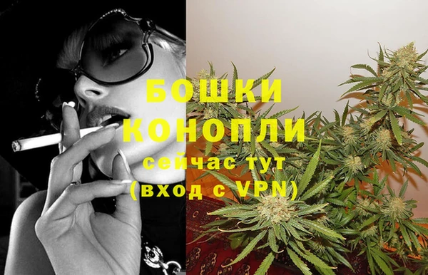 дурь Нея
