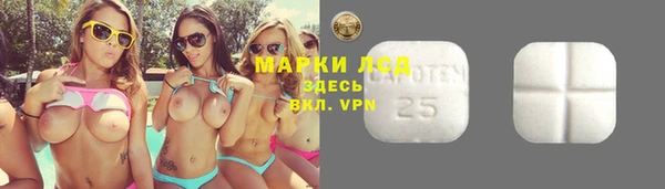 дурь Нея
