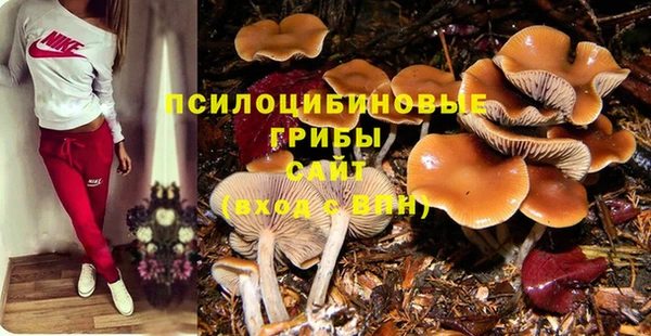 соль ск Нефтекумск