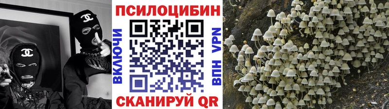 Псилоцибиновые грибы мицелий  Рославль 